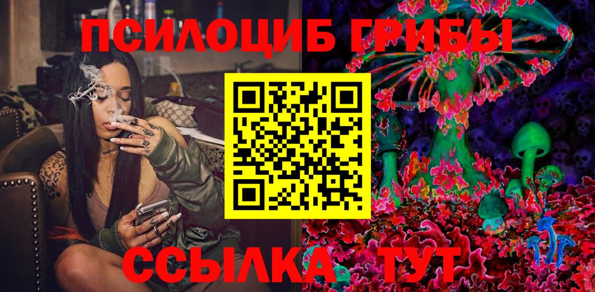 Гурьевск  где купить   Вход с VPN  Галлюциногенные грибы Magic Shrooms 