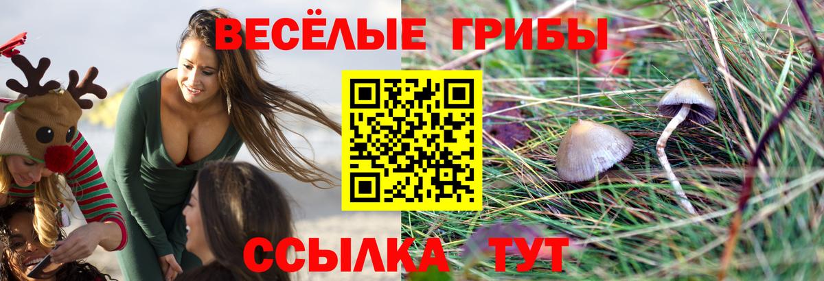 Галлюциногенные грибы ЛСД Гурьевск